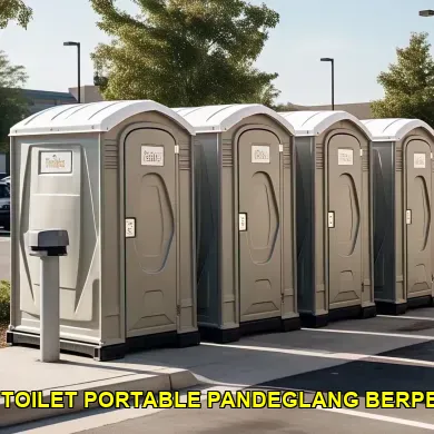 jasa sewa toilet portable pandeglang berpengalaman